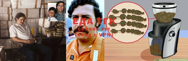 гидра Аркадак