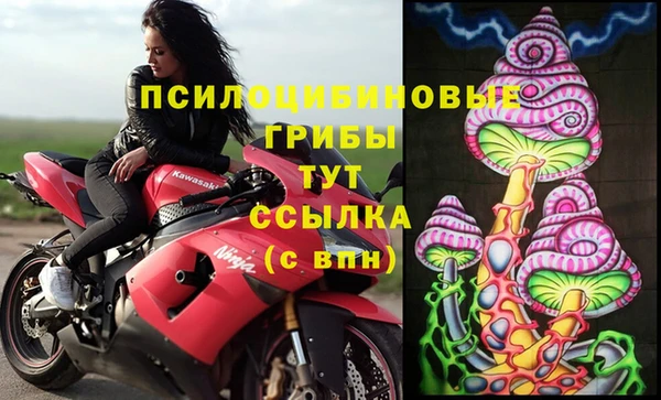 гидра Аркадак