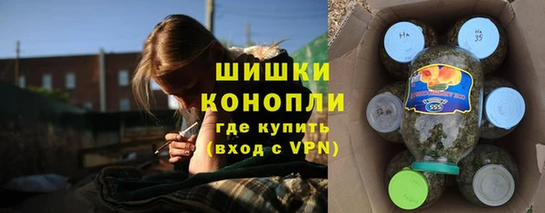ешки Арсеньев