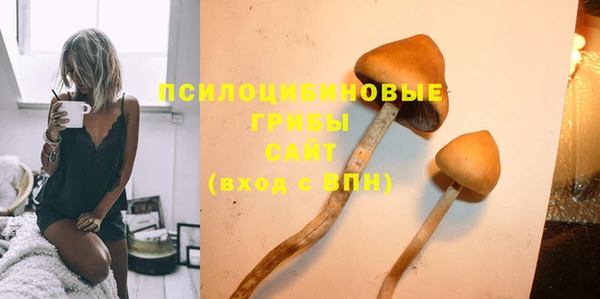 ешки Арсеньев