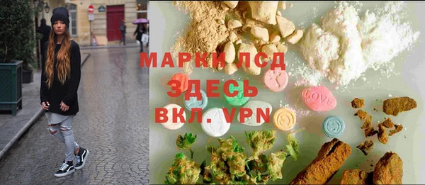гидра Аркадак