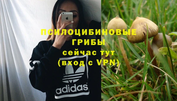 ешки Арсеньев