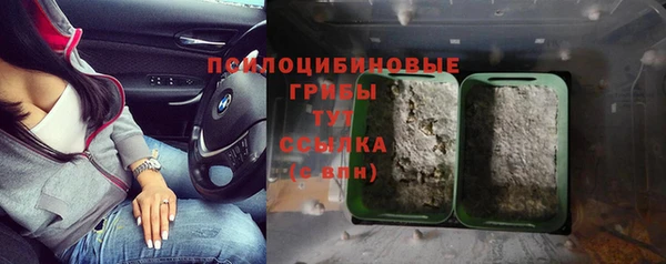 ешки Арсеньев