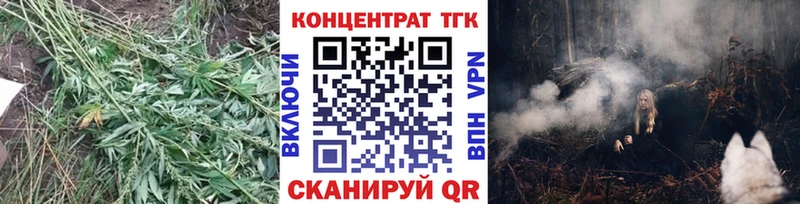 Купить  Урень  ТГК THC oil 